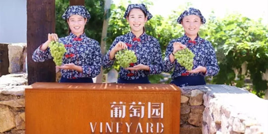 �������԰���ѣ�������Ŀ